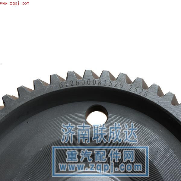 612600080452/1529,噴油泵齒輪,濟(jì)南路泰汽配有限公司