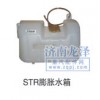 優(yōu)惠銷售STR膨脹水箱