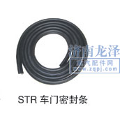 STR車(chē)門(mén)密封條/