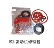 歐II發(fā)動機(jī)修理包/