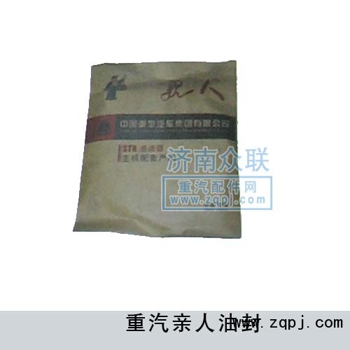 重汽親人油封/