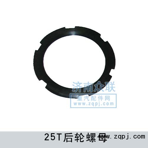 橋殼螺母25T9003884160A/9003884160A