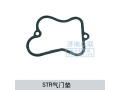 1614040021,STR氣門墊,濟(jì)南盛康汽車配件有限公司