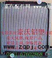 WG9719530231/6,水箱,濟南鼎立興丞汽車配件有限公司
