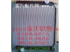 WG9719530231/6,水箱,濟南鼎立興丞汽車配件有限公司