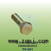190003803633,￠12發(fā)動(dòng)機(jī)膠墊螺絲45長,晉江新興螺絲有限公司