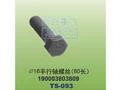 190003803809,￠16平行軸螺絲60長,晉江新興螺絲有限公司