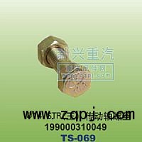 199000310049,￠14STR王傳動軸螺絲,晉江新興螺絲有限公司