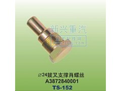 A3872840001,￠24拔叉支撐肖螺絲,晉江新興螺絲有限公司