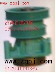 612600060389,水泵總成,濟(jì)南百通重型汽車(chē)配件中心