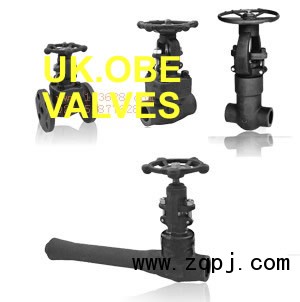 ,進(jìn)口調(diào)節(jié)閥,意大利進(jìn)口閥門-上海樹典