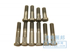 ,重汽標(biāo)準(zhǔn) 加粗 盤剎 鼓剎 輪胎螺絲,濟(jì)南冠澤卡車配件營銷中心