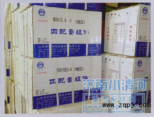 61560030016,四配套(67),濟(jì)南小清河汽配有限責(zé)任公司