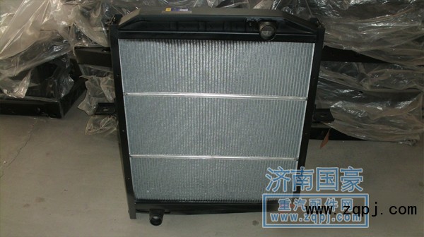 1124113100002,水箱散熱器總成,濟(jì)南鼎立興丞汽車配件有限公司