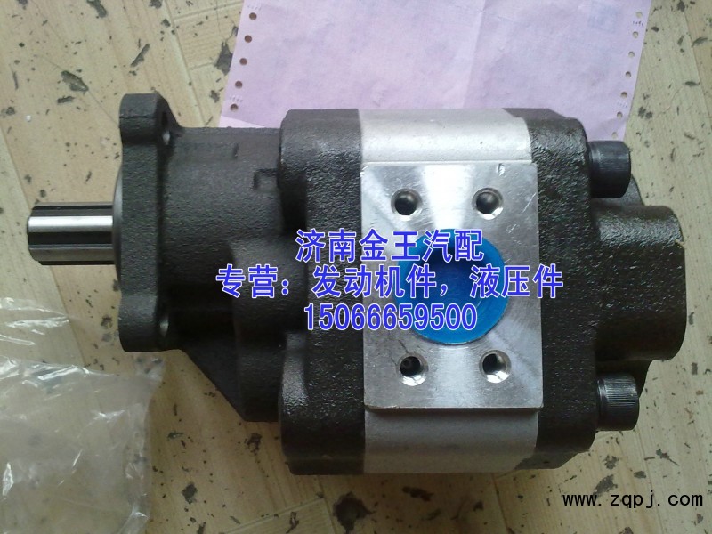 供應齒輪油泵，齒輪泵，液壓泵CBHBD-F100H8，H6/CBHBD-F100H8，H6