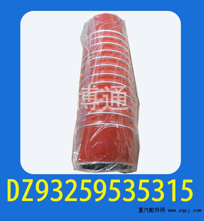 DZ93259535315,,濟南博通重汽備件庫