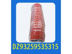 DZ93259535315,,濟南博通重汽備件庫
