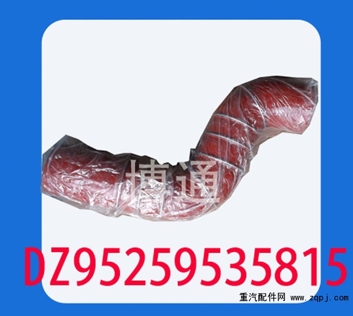 DZ95259535815,,濟南博通重汽備件庫