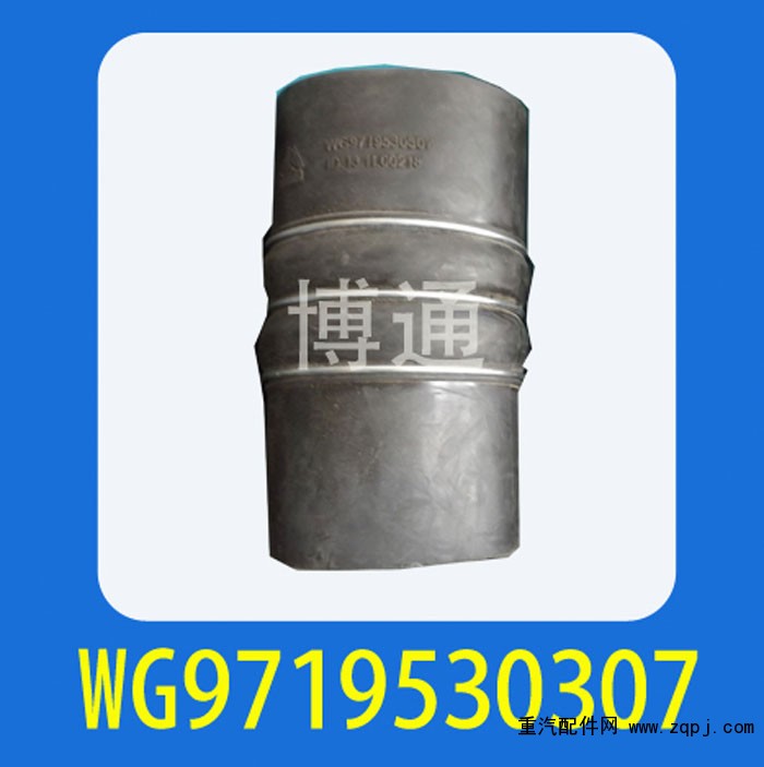 WG9719530307,,濟(jì)南博通重汽備件庫