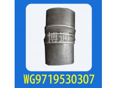 WG9719530307,,濟(jì)南博通重汽備件庫