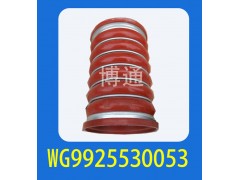 WG9925530053,,濟(jì)南博通重汽備件庫(kù)