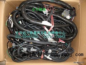 1B24937480211,全車線束,北京遠大歐曼汽車配件有限公司