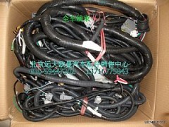 1B24937480211,全車線束,北京遠大歐曼汽車配件有限公司
