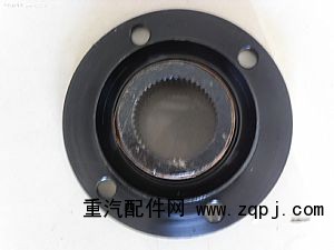 WG9231320014,凸緣總成（細齒）,山東修健重卡車橋制造有限公司