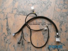 1425135900010ABS,1425135900010ABS線束（駕駛室）,北京遠(yuǎn)大歐曼汽車配件有限公司