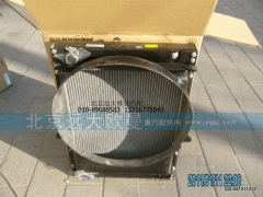 1108913106002,散熱器帶護風罩總成,北京遠大歐曼汽車配件有限公司