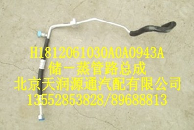 儲(chǔ)－蒸管路總成/H1812061030A0A0943A