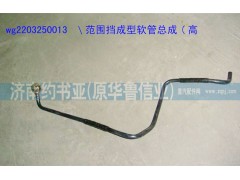 WG2203250013,范圍擋成型軟管總成(高擋),濟(jì)南約書(shū)亞汽車配件有限公司（原華魯信業(yè)）