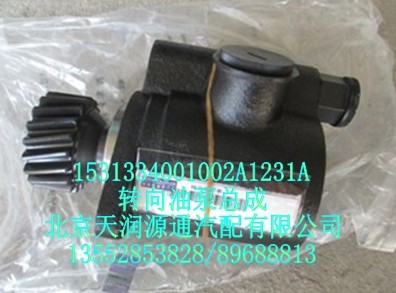 轉(zhuǎn)向油泵總成/1531334001002A1231A