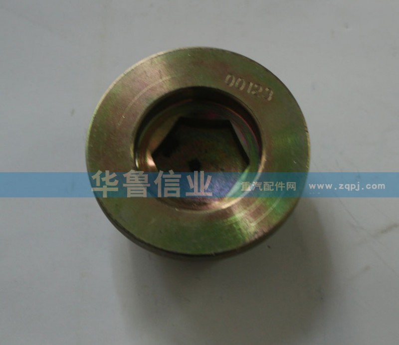 WG9981340006,AC16放油螺絲,濟南約書亞汽車配件有限公司（原華魯信業(yè)）
