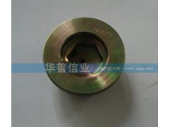 WG9981340006,AC16放油螺絲,濟南約書亞汽車配件有限公司（原華魯信業(yè)）