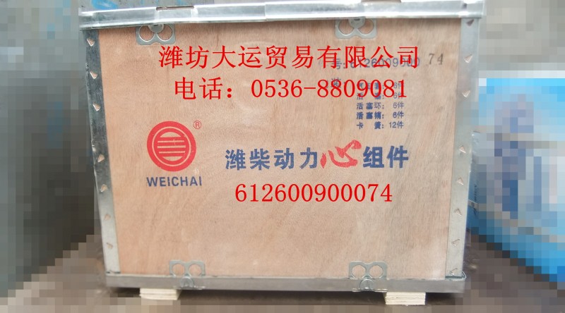 濰柴動(dòng)力新組件612600900074/612600900074