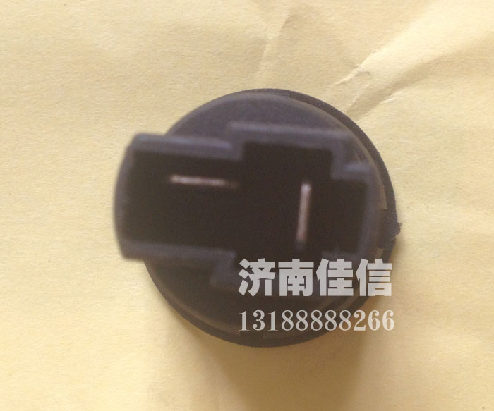 WG1634720001,門燈開關(guān),濟南同馳汽車配件有限公司