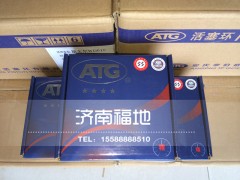 612600030058/612600030051,活塞環(huán),濟南福地重汽配件銷售中心