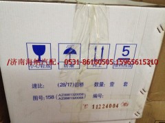 AZ9981320058,后橋主動(dòng)錐齒輪,濟(jì)南海納汽配有限公司