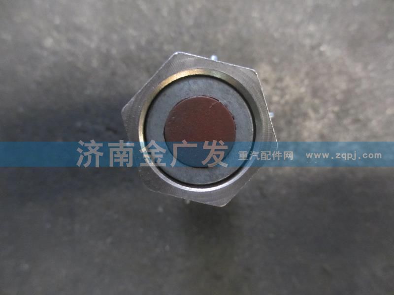 DZ9100586212,接近開關,濟南金廣發(fā)商貿(mào)有限公司