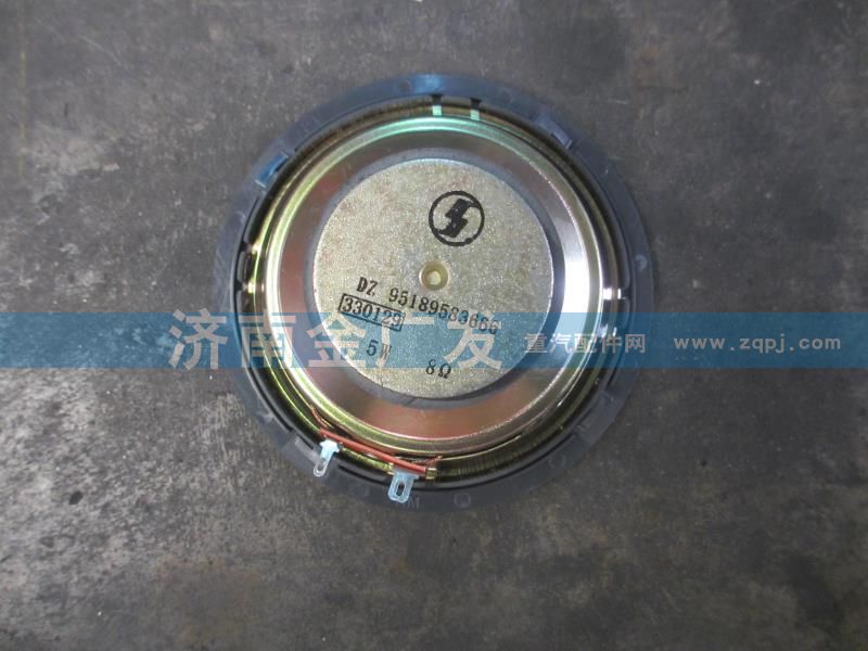 DZ95189583666,揚聲器,濟南金廣發(fā)商貿(mào)有限公司