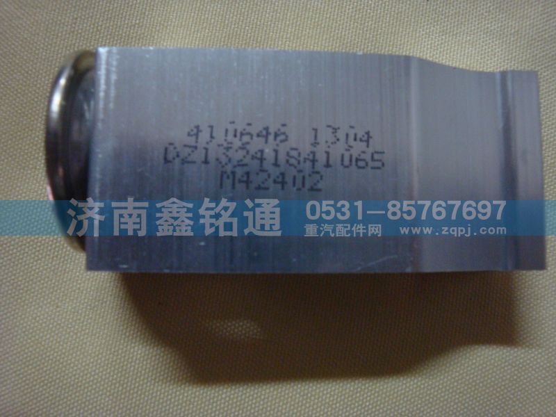 陜汽德龍F3000環(huán)?？趭W龍13膨脹閥/DZ13241841065