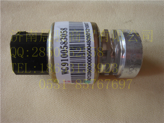 重汽豪沃4插車(chē)速里程傳感器/WG9100583058