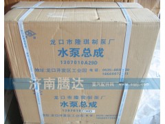 1307010A29D,水泵總成,濟(jì)南錦陽汽配有限公司（原騰達(dá)）