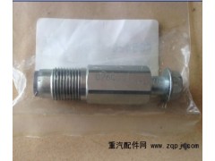 095420-0260,空心螺栓 共軌泄壓閥,濟南福沃重汽配件有限公司