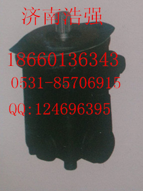 15225134001005,轉向助力泵,濟南浩強助力泵發(fā)展有限公司