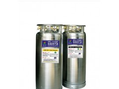 195l,潤(rùn)豐低溫焊接絕熱氣瓶,亞久信空壓機(jī)設(shè)備有限公司