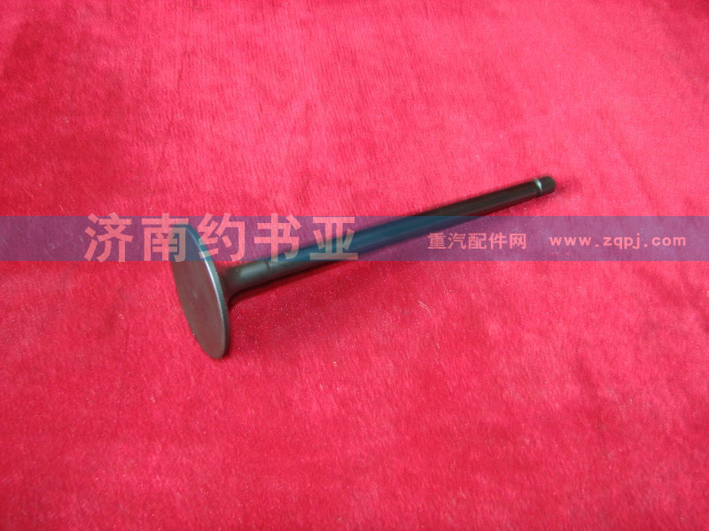 VG1540050015,進(jìn)氣門,濟(jì)南約書(shū)亞汽車配件有限公司（原華魯信業(yè)）