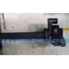 重汽杭發(fā)VG1092080190點(diǎn)火線圈總成