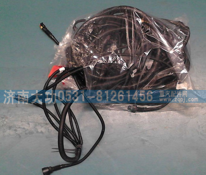 VG1238090102,發(fā)動(dòng)機(jī)線束,濟(jì)南大功汽車配件有限公司